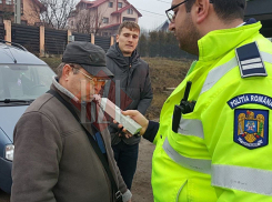 Водителю из Молдовы пришлось дуть в алкотестер после того, как он снес румынское дерево 