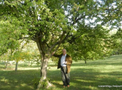 У золотого дерева Земфиры… (21 сентября – 205 лет со дня приезда  опального А. С. Пушкина в Бессарабию)