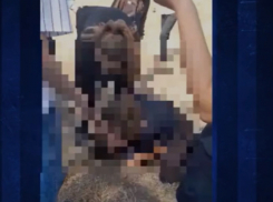 В Сорокском районе школьницы устроили драку на перемене: конфликт тянется с лета