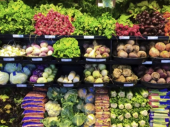 Экономика ниже плинтуса: в Молдове импорт сельхозпродукции превысил ее экспорт