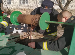 Фотофакт: в Новых Аненах из колодца вытащили кошку