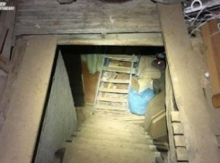 Рожденные секс-рабыней дети вместе с ее насильником пытали свою мать