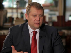 Если государство заимствует у местных банков, это означает, что правительство находится в плохом положении, - Брынзан 