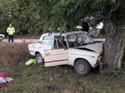 Автомобиль врезался в дерево в Фалештах: пострадали два человека