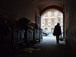 Изнасилование женщины в безлюдном месте под Воронежем попытался совершить пугливый молдаванин