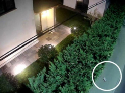 Взрывное устройство сработало ночью возле дома примара Александру Ворника в Ставченах