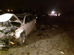 Volkswagen на огромной скорости врезался в отару под Кишиневом: погибло много овец