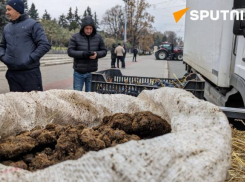 Фермеры привезли навоз на центральную площадь