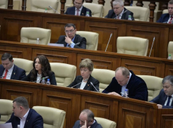 В прошлом году социалисты больше остальных депутатов запрашивали информацию о деятельности госучреждений 