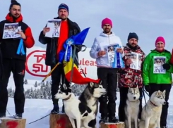 Великолепные хаски из Кишинева победили на снежных гонках в горной Румынии