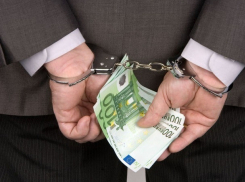 Заведены 43 уголовных дела о коррупции, связанные с продажей мяса