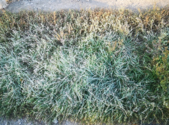 В Молдове ожидаются заморозки – погода на субботу 