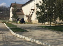 В Ниспоренском районе на дереве нашли воздушный шар со странной коробкой