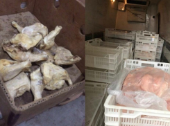 В Сети появились фото испорченных продуктов, которыми травили детей