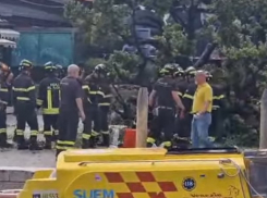 На молдаванку в Венеции упало большое дерево