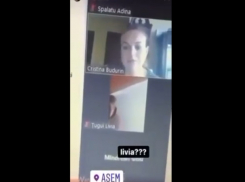 Студентку, занимавшуюся сексом во время онлайн-урока, наказывать не будут