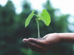 Молдова стала лидером Европы по самым низким выбросам CO₂