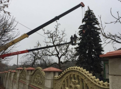 Главную новогоднюю ёлку страны спилили и везут в Кишинев