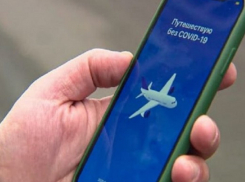 В Россию с помощью приложения - как попасть в Россию гражданам Молдовы