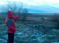 Молдаванин пытался незаконно вернуться в республику: он нарушил миграционный режим Украины