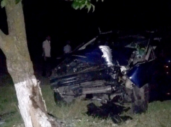 Водитель врезался на высокой скорости в дерево в Приднестровье