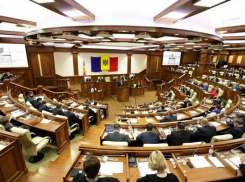 ПСРМ предложила, PAS - против. НАРЭ не будут ликвидировать