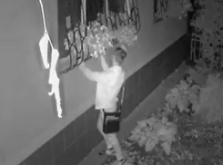 Глупые попытки «цветочного бандита» победить фигурные решетки в столице попали на видео