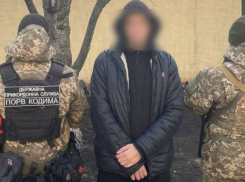 Украинец, бежавший от мобилизации в Молдову, вскарабкался на дерево, испугавшись волков