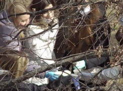 Группа столичных девушек решила отпраздновать день рождения подруги в полном антибактериальном «прикиде» - в масках и перчатках