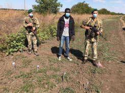 Из Молдовы в Украину за лучшей жизнью – уроженца Гамбии остановили пограничники 