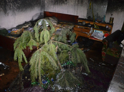 Молодые муж и жена погибли жуткой смертью в своей квартире утром 1 января