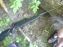 Молдаванин в Парме устроил в парке стрельбу из пневматической винтовки