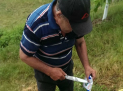 Испорченные мясо и сыр заставляли есть детей в лагере в Унгенах