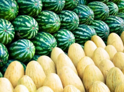 Арбузы, дыни и свёкла больше не будут проверяться на нитраты — их исключили из списка продуктов, контролируемых ANSA