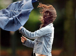 Сильный ветер обрушится на Молдову: введен желтый код опасности 