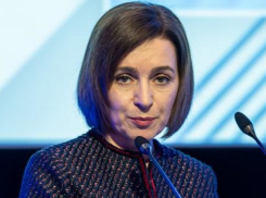 Свиная чума в Молдове: Санду требует прекратить дезинформацию и обещает компенсации