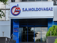 Топ-10 самых богатых компаний Молдовы выявили эксперты: новый рейтинг