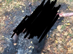 Зверское ритуальное убийство: оккультисты распяли и сожгли иностранца под Одессой