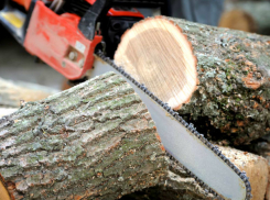 Мужчина нечаянно перерезал себе горло бензопилой в доме отца в Каларашском районе