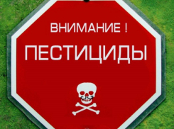 Скрытое на виду - какую угрозу несет склад пестицидов в селе Хырбовэц?