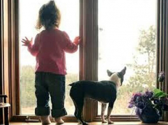 Страшная смерть: маленькая девочка вместе с собакой рухнула из окна 18-го этажа