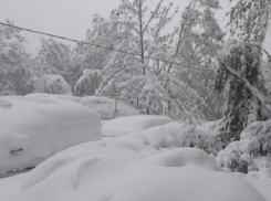 Из истории: 20-21 апреля 2017, «Апрельский снегопад»