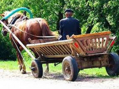 Ехавший на гужевой повозке мужчина получил тяжелые травмы от наехавшего автомобиля в Комратском районе