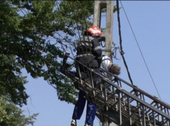 Сотрудника Gas Natural Fenosa ударило током во время работ по восстановлению линий электропередачи