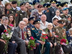 Ветераны войны в Молдове получат удостоверения нового типа