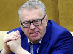 Жириновский заявил о необходимости отменить новогодние каникулы из-за массового пьянства 