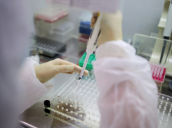 Срочно! В Молдове за сутки выявлено 252 новых случая заражения коронавирусом 