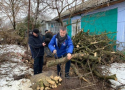 Демократ Сергей Сырбу показал избирателям, как умеет пилить дрова