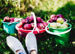 В среду в Молдову вернется тепло 