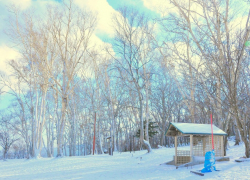 В Молдову идут сильные морозы: температура опустится до −20 градусов